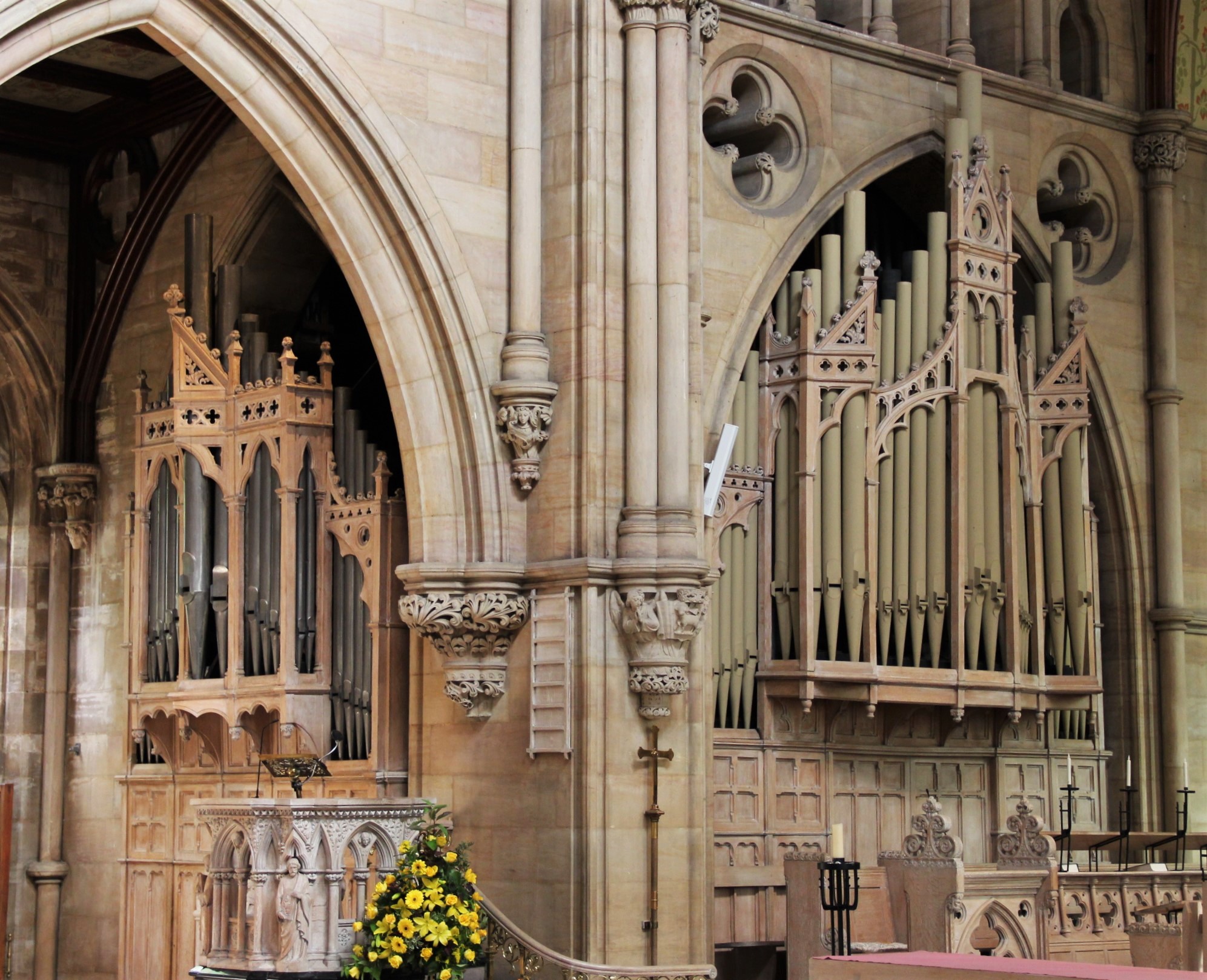 Organ pic 130919
