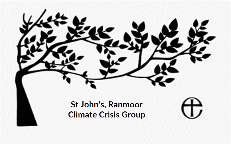 Eco Logo without Border