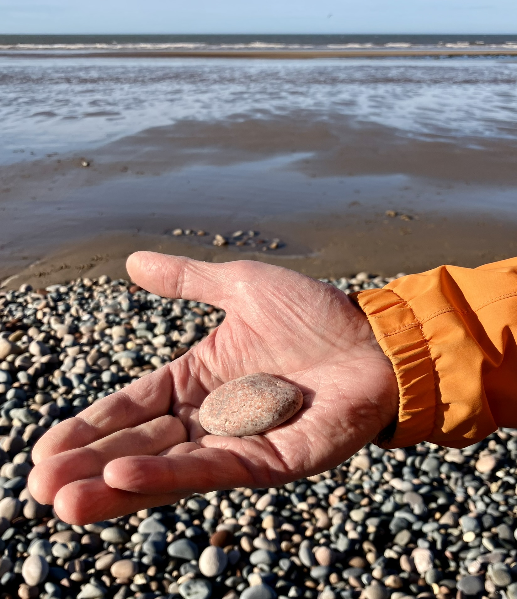 663217532 1394299169392032 595