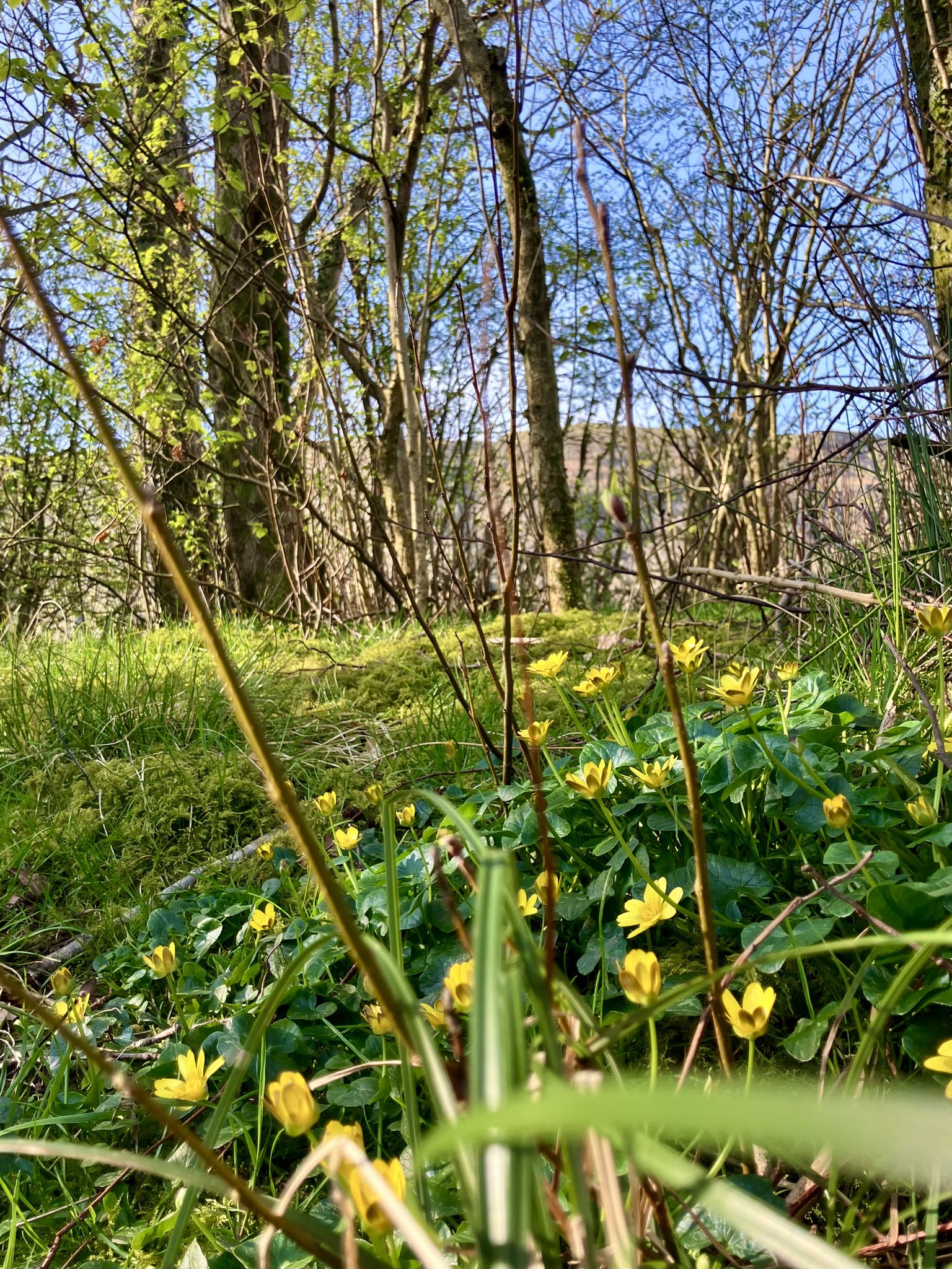 668669593 1395157865972829 318