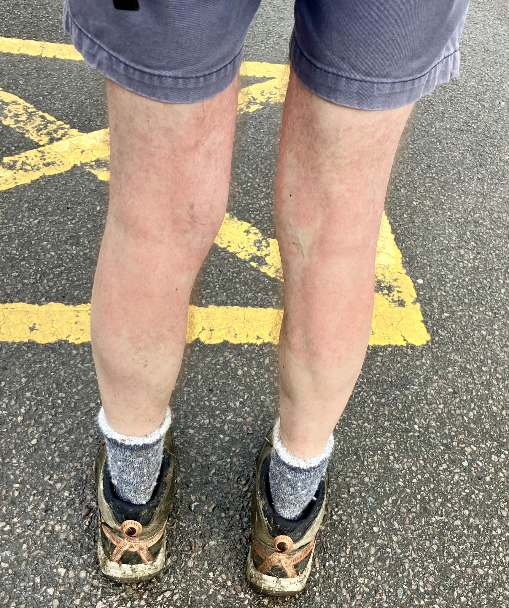 666760062 1396359445852671 254