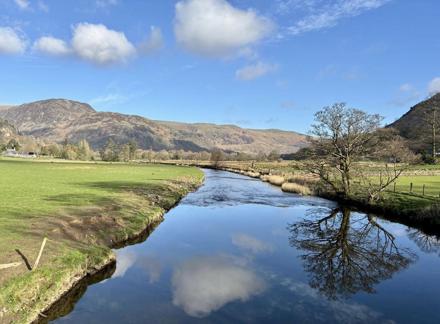 669723479 1397246145764001 701