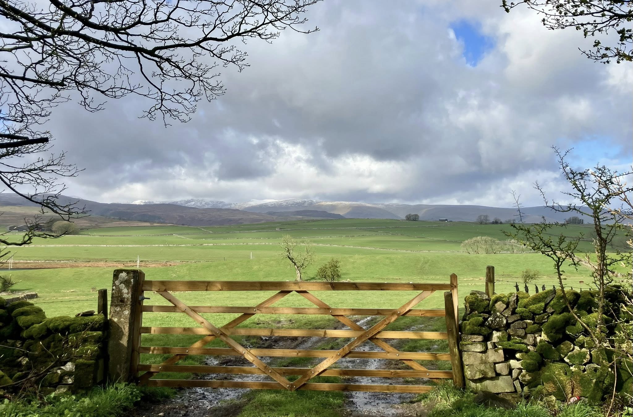 668323327 1397775749044374 301