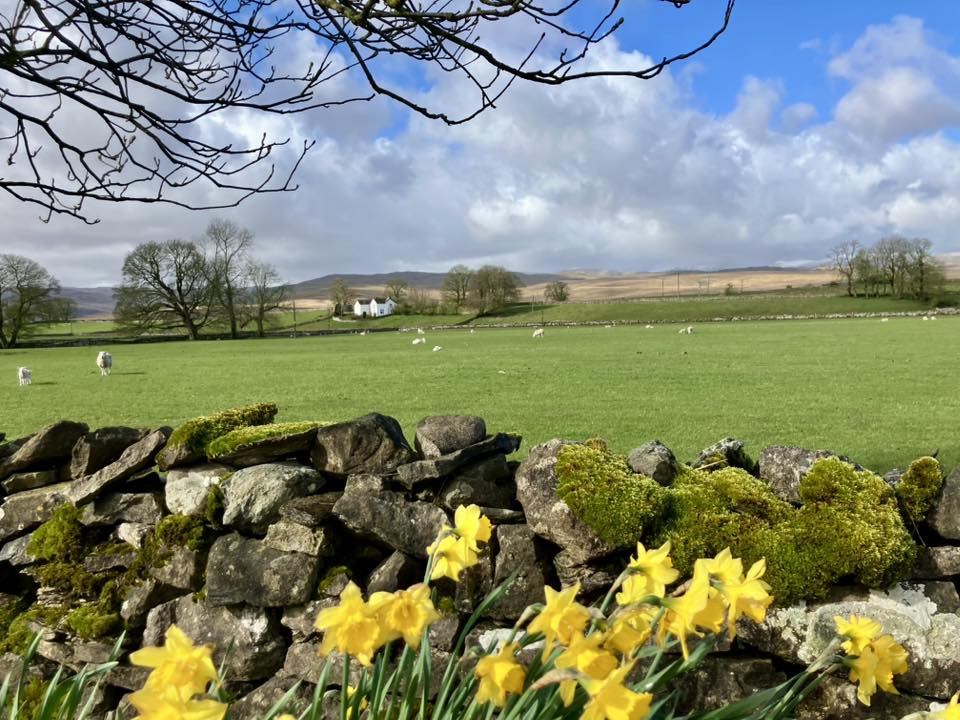 669512357 1397775075711108 438