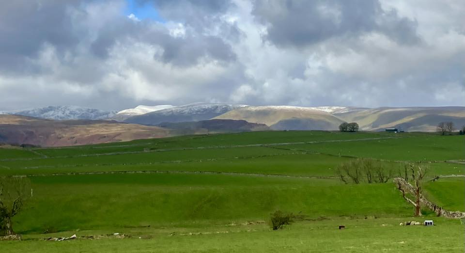 670565802 1397775109044438 892