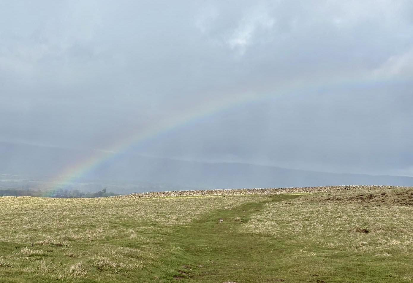 669680031 1398167889005160 113