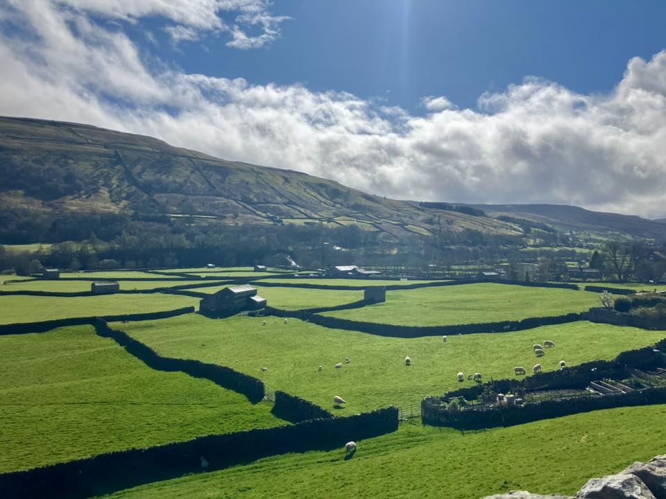 669705994 1398154575673158 849