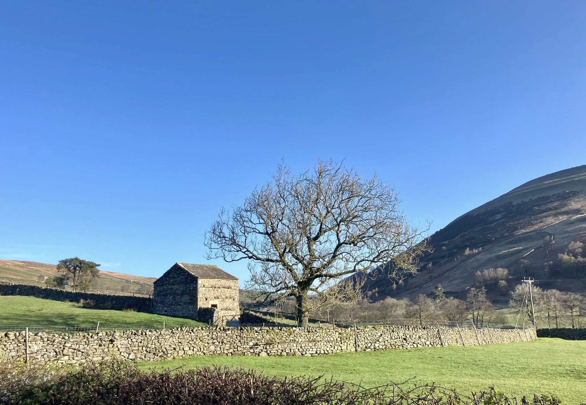 670481272 1399326625555953 189