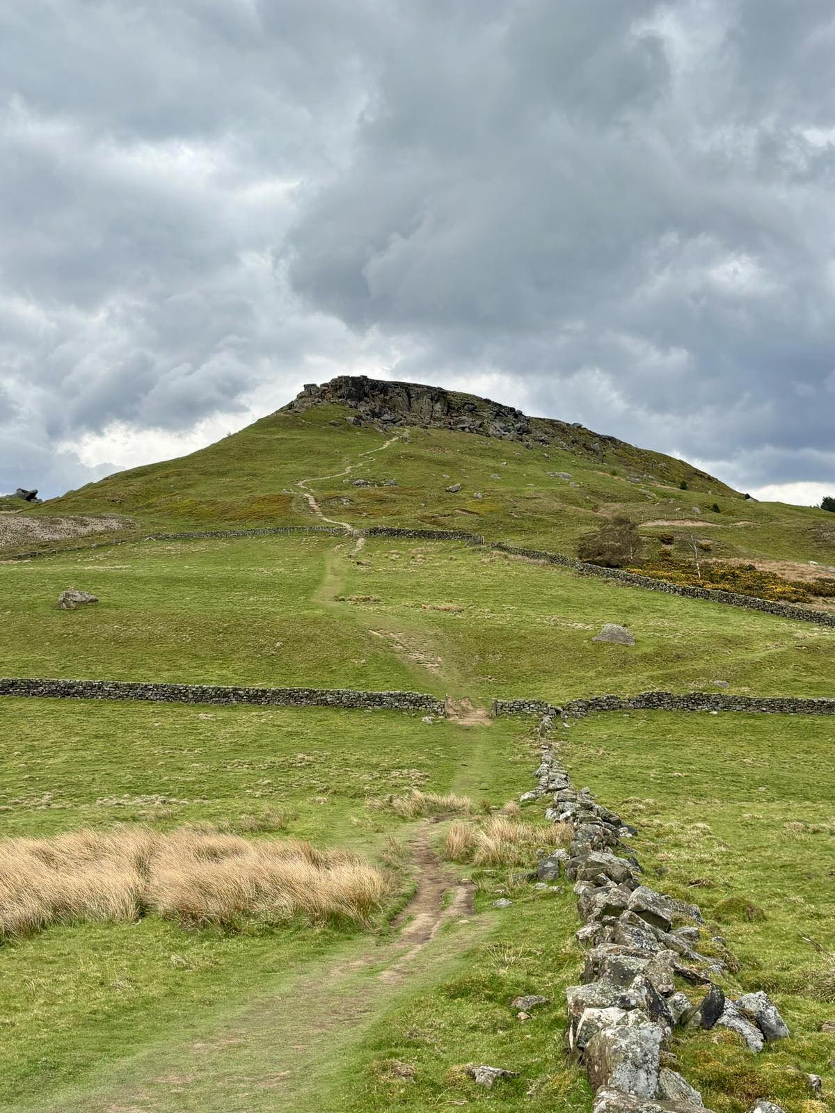 672673300 1401368435351772 830