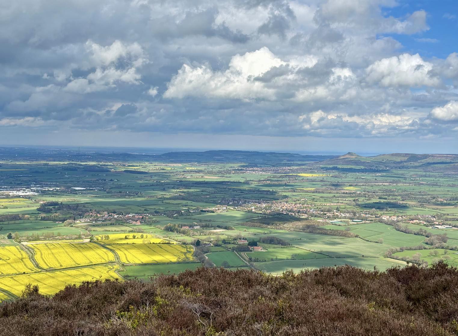 672011661 1401368538685095 428