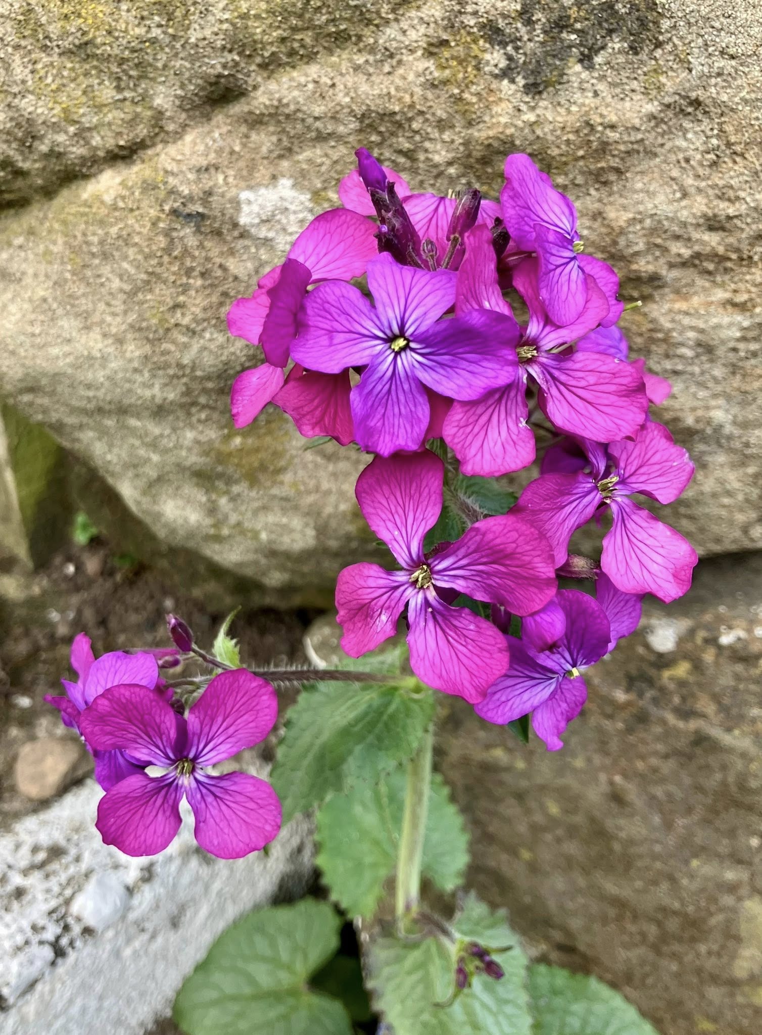 671457779 1402926261862656 934