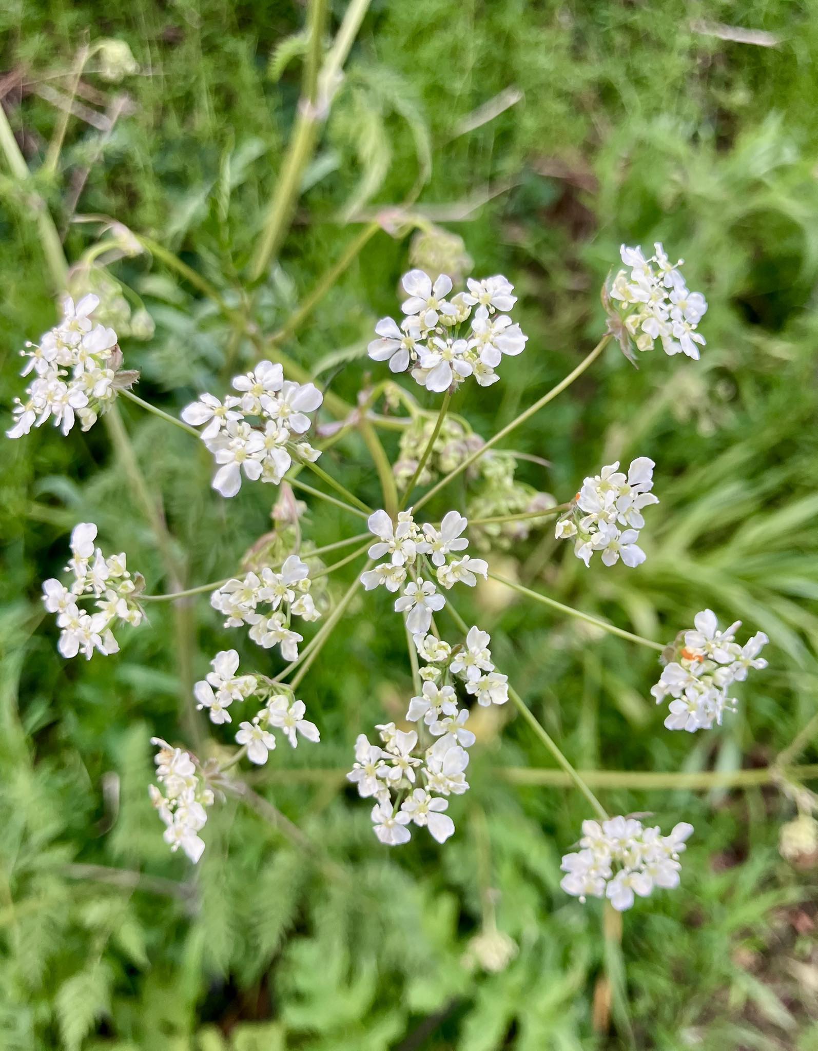 672305217 1402967201858562 611