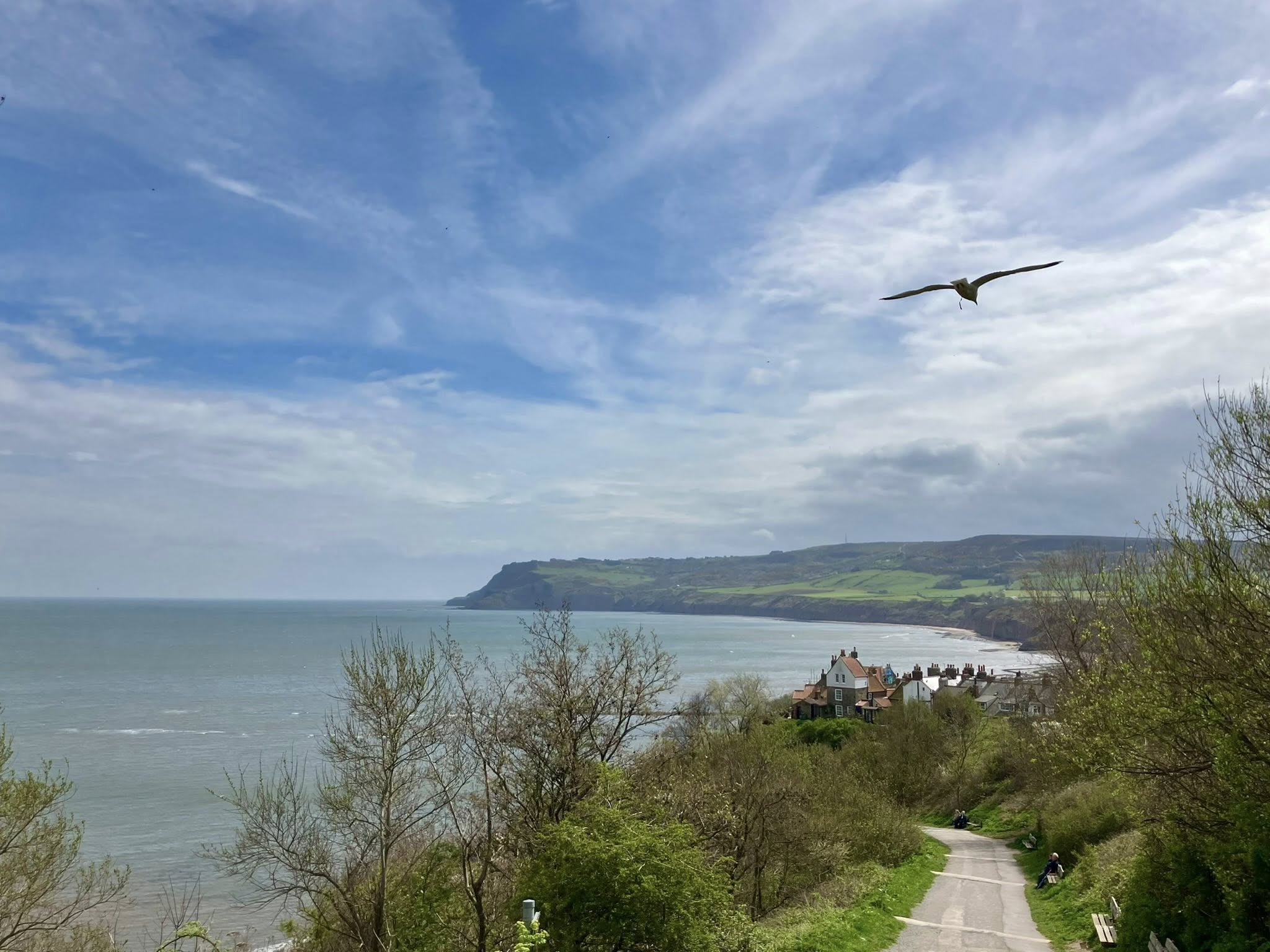 672128878 1403297725158843 617