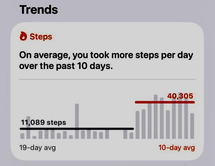 672316820 1403296381825644 720