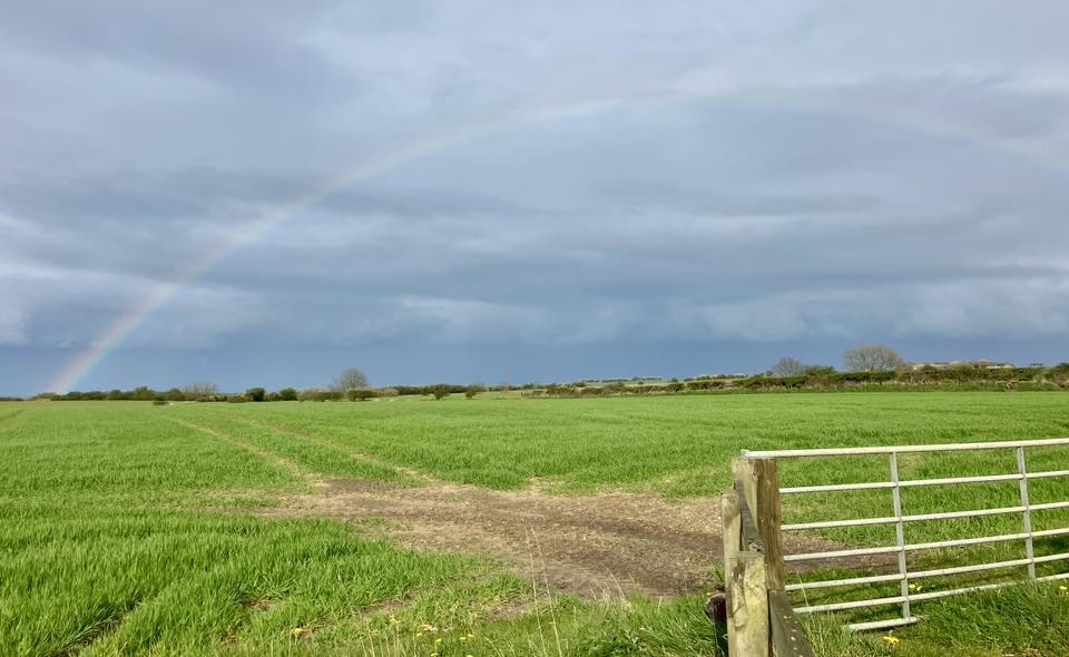 672687747 1403296591825623 495